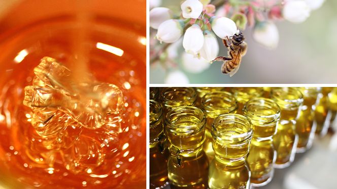 【 数量限定 】山桜 はちみつ と春の 田舎はちみつ の 3種 ギフト セット [ B3山桜 280g ]（ 茨城県共通返礼品： 五霞町 ） 生ハチミツ 蜂蜜 非加熱 茨城県産 国産 天然 純粋 贈答用 [EG002us]