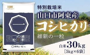 A097 維新の一粒5㎏×6袋（白米）