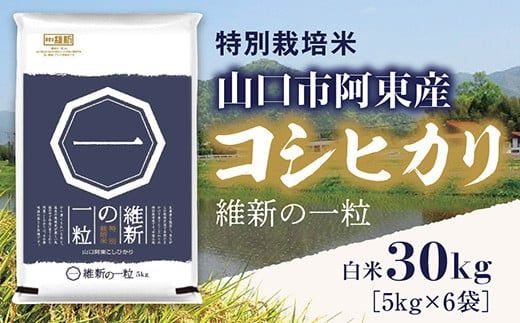 yRRszA097 ېV̈ꗱ5s×6܁iāj