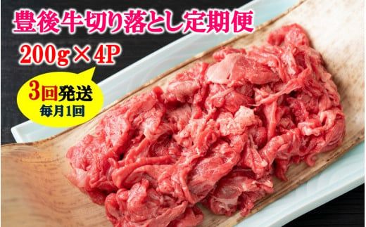 y啪sz͂IL㋍؂藎Ƃ / v3񔭑_2195R