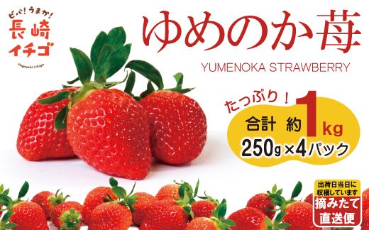 【長崎の苺はコレ！】 ゆめのか 1kg (250g×4P) / イチゴ いちご 南島原市 / ふるさと企画 [SBA015]