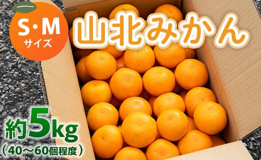 山北みかん S・Mサイズ 約5kg(40〜60個程度) 山北みらい 秀品 - 果物 フルーツ 柑橘類 温州みかん ミカン 蜜柑 甘い おいしい 美味しい 高知県 香南市 yk-0026