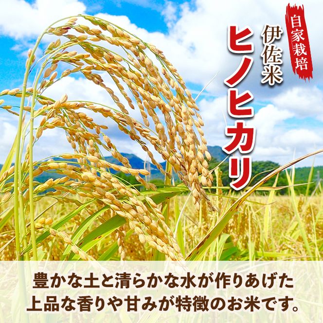 A0-30 伊佐のお米(5kg) 日本の米どころとして有名な伊佐の伊佐米ヒノヒカリ！美味しさを追求したこだわりの酵素栽培【猩々農園】