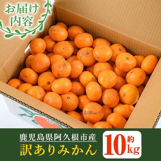 訳あり！鹿児島県産みかん(計約10kg) 大容量 傷あり 不揃い 国産 柑橘 果物 くだもの フルーツ 旬 期間限定 数量限定 訳アリ 規格外 ご家庭用 ご自宅用 ミカン ノーワックス【三笠農業生産】akn051-04