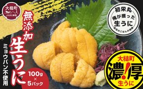 【令和7年6月発送】三陸産生うに100g×5パック【配送日指定不可】【0tsuchi00822】【35】