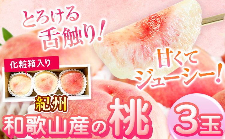 桃 もも 紀州 和歌山産 の 桃 3玉 化粧箱入 魚鶴商店[2026年6月下旬-8月上旬より発送予定] 和歌山県 日高町 贈り物 ギフト---wsh_cuot157_6g8j_25_9000_3t---