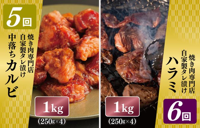 099Z135 焼肉専門店厳選 大満足 焼肉 定期便 全6回 【毎月配送コース】