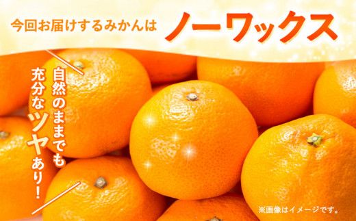 みかん 田村みかん 秀品 4kg サイズ指定なし 株式会社とち亀物産《11月下旬-1月中旬頃出荷》和歌山県 日高町 フルーツ くだもの 果物 柑橘 旬 ノーワックス 送料無料 紀伊国屋文左衛門本舗---wsh_ttk21_11g1c_25_19000_4kg---