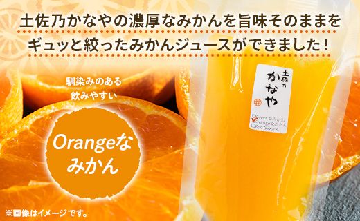 土佐乃かなやのみかんジュース Orangeなみかん 合計3本 - 柑橘 ミカン 果物 フルーツ 濃厚 果汁 100％ ストレート 飲料 合同会社Benifare 高知県 香南市 be-0043