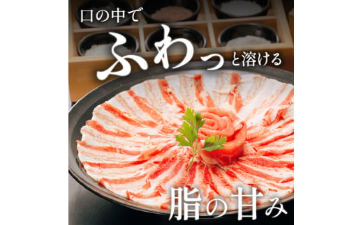 「黒豚料理専門店　寿庵」黒豚しゃぶしゃぶセット（3～4人前）　K049-001