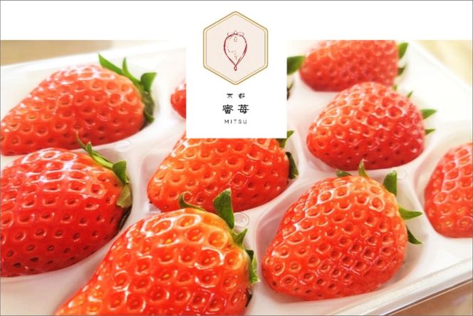 ys{Oszys\z2026NY s iЂ߁jiTCYi9܂11j×2pbNj450gi2026N1{`j@FM00011