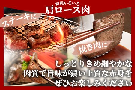 ＜国富町産宮崎牛　赤身肉3種セット900g（サイコロ・焼肉・スライス各300g）＞1ヵ月以内に出荷【 肉 牛肉 精肉 赤身 サイコロステーキ ステーキ 焼肉 焼き肉 ロース スライス ジューシー 贈答品 ギフト 贈り物 プレゼント 】【b0757_my】