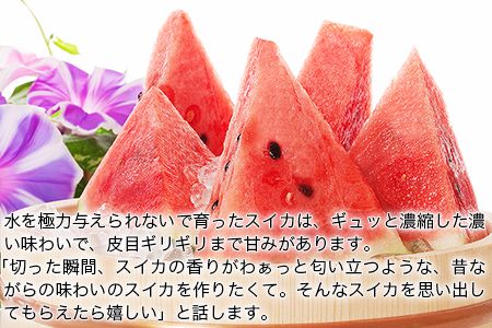 『きよたファーム』のすいか 1玉約8～10kg 熊本県玉名郡玉東町『きよたファーム』すいか フルーツ 果物 熊本県産《5月上旬-6月末頃出荷》---sg_kfsuika_af5_25_12500_1p---