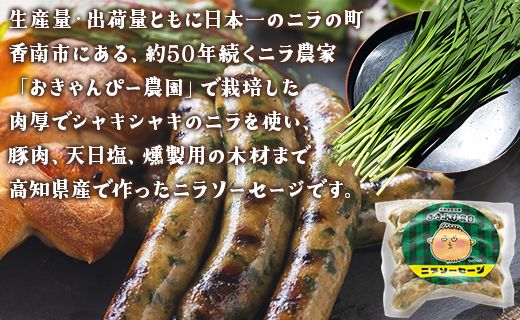 生産量日本一のニラソーセージ 2袋 合計10本 - ウィンナー ウインナー 惣菜 加工品 にら 韮 香味野菜 やさい 葉物 国産 おつまみ おかず 鍋 ご飯のお供 バーベキュー ギフト 高知県 香南市 on-0020