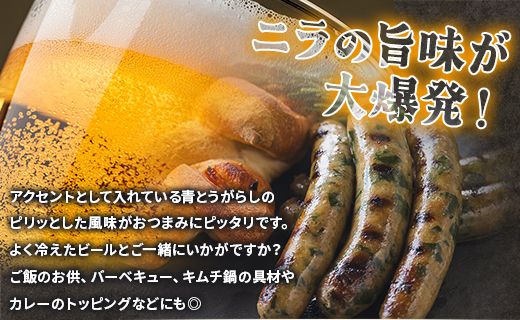 生産量日本一のニラソーセージ 3袋 合計15本 - ウィンナー ウインナー 惣菜 加工品 にら 韮 香味野菜 やさい 葉物 国産 おつまみ おかず 鍋 ご飯のお供 バーベキュー ギフト 高知県 香南市 on-0021