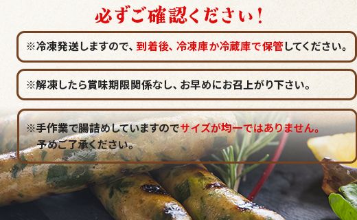 生産量日本一のニラソーセージ 2袋 合計10本 - ウィンナー ウインナー 惣菜 加工品 にら 韮 香味野菜 やさい 葉物 国産 おつまみ おかず 鍋 ご飯のお供 バーベキュー ギフト 高知県 香南市 on-0020