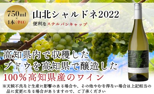 ワイン 人気 白 高知県産ワイン tosa cavatina 山北シャルドネ2022 (750ml×1本) - 白 辛口 お酒 さけ アルコール ボトル 瓶 ギフト 送料無料 高知県 香南市 冷蔵 iw-0004