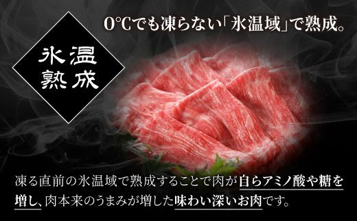 ★氷温Ⓡ熟成★旨味を凝縮させた黒毛和牛ヒレステーキ３００ｇ - 牛肉 牛ヒレ ヒレ フィレ ヘレ 赤身 熊本県産 和牛 黒毛和牛 ステーキ すてーき 冷凍 送料無料 人気 おすすめ【価格変更AC】