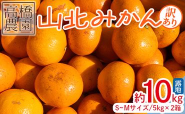 みかん 5kg 山北みかん 家庭用 露地(Ｓ～Ｍ)Ｂ品 小傷あり×2箱 (合計10kg) 高橋農園 - フルーツ 果物 くだもの 柑橘類 ミカン 蜜柑 小傷あり 家庭用 季節限定 期間限定 th-0011