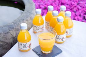 222.伊藤農園 100%ピュアジュース飲み比べ180ml×15本セット（A222-3）