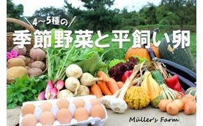 季節の野菜詰め合わせ（4～5種）と平飼い卵セット！農薬不使用だから安心安全！