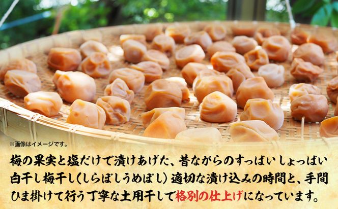 梅干し 白干し梅干し 1kg 中玉 2L 和歌山県産 株式会社とち亀物産 《30日以内に出荷予定(土日祝除く)》 和歌山県 日高町 梅 うめ 白干し 梅干し うめぼし 紀州南高梅 漬物 漬け物 ごはんのお供---wsh_ttk9_30d_23_15000_s2l---