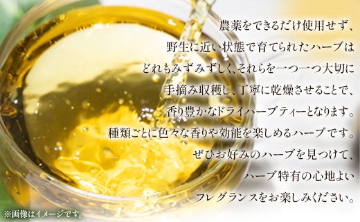 さわやかハーブティー6種 ＆ 高知県香南市産黒糖「あまいろ。」- お茶 飲み物 ティーバッグ 茶葉 ミント レモングラス ローズマリー 砂糖 サトウキビ お茶請け 調味料 GreenBase 高知県 香南市 gr-0126