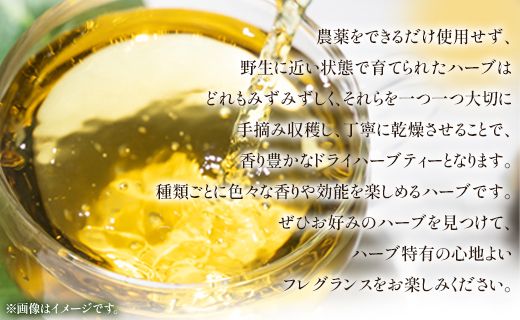 さわやかハーブティー6種×1 ＆ 高知県香南市産黒糖「あまいろ。」×6 - お茶 飲み物 ティーバッグ 茶葉 ミント レモングラス ローズマリー 砂糖 サトウキビ お茶請け 調味料 GreenBase 高知県 香南市 gr-0128