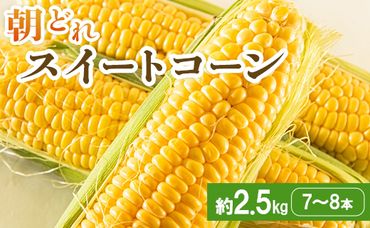 朝どれスイートコーン 2.5kg以上(7～8本) - トウモロコシ とうもろこし 野菜 国産 産地直送 期間限定 季節限定 旬彩ファームやまさき sy-0001