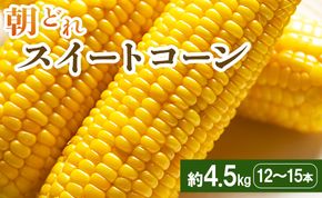 【2026年5月下旬より順次配送】とうもろこし スイートコーン 4.5kg(12～15本)  - トウモロコシ とうもろこし 野菜 国産 産地直送 期間限定 旬彩ファームやまさき sy-0002
