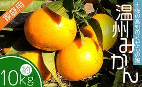 土佐の高知のくだもの畑 みかん(家庭用)10kg(5kg箱×2)  - 温州みかん ミカン 訳アリ 蜜柑 ミカン 柑橘 柑橘類 フルーツ 果物 kd-0027