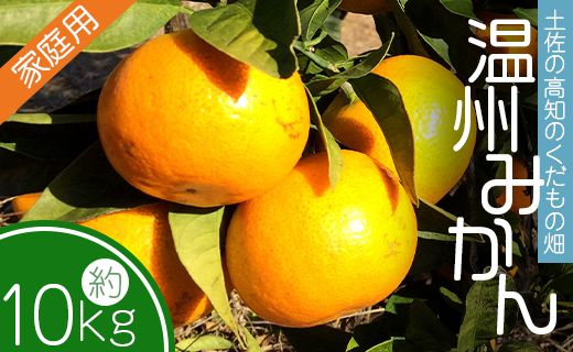 ymszy̍m̂̔ ݂(ƒp)10kg(5kg×2)  - B݂ ~J A  ~J k k t[c ʕ kd-0027