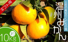 みかん 10kg (5kg箱×2) ギフト用 土佐の高知のくだもの畑 - 温州みかん ミカン 蜜柑 柑橘類 フルーツ 果物 くだもの kd-0028
