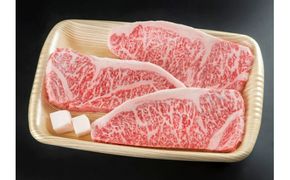 ※HNP-01プレミアム(A5等級)飛騨牛サーロインステーキ (600g)