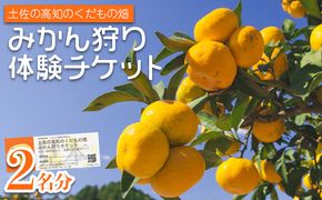 みかん狩り体験チケット 2名分(１０月中旬～１２月中旬頃) - ミカン狩り 蜜柑狩り 柑橘 フルーツ 利用券 旅行 観光 高知県 香南市 kd-0017