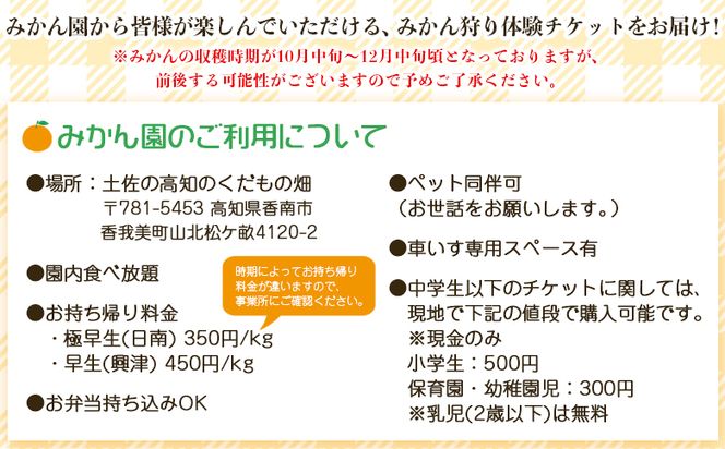 みかん狩り体験チケット 4名分(１０月中旬～１２月中旬頃) - ミカン狩り 蜜柑狩り 柑橘 フルーツ 利用券 旅行 観光 高知県 香南市 kd-0019