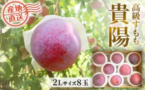 【2025年発送分 先行予約】貴陽（2L）８玉　すもも プラム スモモ 李 くだもの 果物 山梨 やまなし フルーツ 産地直送 富士川町