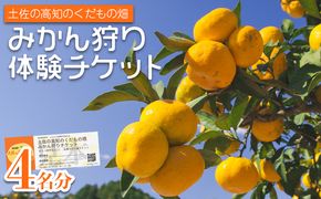 みかん狩り体験チケット 4名分(１０月中旬～１２月中旬頃) - ミカン狩り 蜜柑狩り 柑橘 フルーツ 利用券 旅行 観光 高知県 香南市 kd-0019