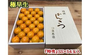 極早生 有田 みかん 化粧箱 特秀 小玉 SS サイズ 54玉入 南泰園 和歌山 有田みかん BS608