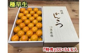 極早生 みかん 有田 化粧箱 特秀 小玉 SS サイズ 54玉入 南泰園   BS608