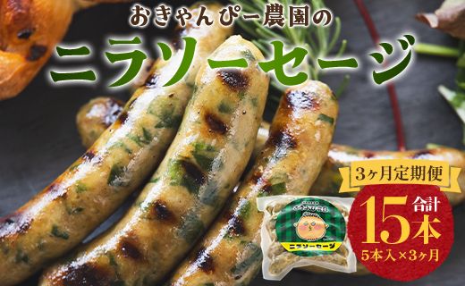 定期便 3ヵ月 生産量日本一のニラソーセージ 5本×3ヵ月 合計15本 - ウィンナー ウインナー 惣菜 加工品 にら 韮 香味野菜 やさい 葉物 国産 おつまみ おかず 鍋 ご飯のお供 バーベキュー ギフト 高知県 香南市 Won-0023