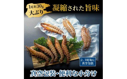 鮮度抜群！活き〆冷凍車海老（1.17kg）_29004C