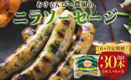 定期便 6ヵ月 生産量日本一のニラソーセージ 5本×6ヵ月 合計30本 - ウィンナー ウインナー 惣菜 加工品 にら 韮 香味野菜 やさい 葉物 国産 おつまみ おかず 鍋 ご飯のお供 バーベキュー ギフト 高知県 香南市 Won-0024