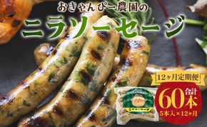 定期便 12ヵ月 生産量日本一のニラソーセージ 5本×12ヵ月 合計60本 - ウィンナー ウインナー 惣菜 加工品 にら 韮 香味野菜 やさい 葉物 国産 おつまみ おかず 鍋 ご飯のお供 バーベキュー ギフト 高知県 香南市 Won-0025