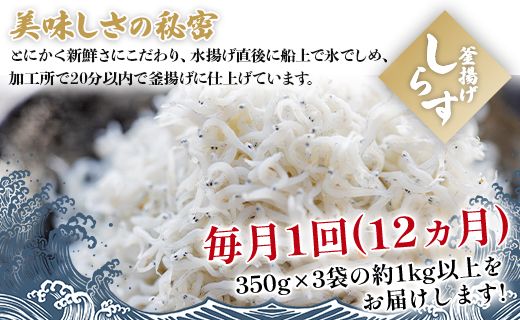 12回定期便 釜揚げしらす 高知 冷凍 小分け 「銀凪」350g×3袋(約1㎏) 合計12.5kg以上 - 小魚 シラス 魚介 特産品 海産物 新鮮 ご飯のお供 おつまみ 国産 海の幸 小分けパック ヤマナカ水産 高知 香南市 冷凍 Wym-0013