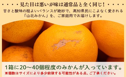 みかん 山北みかん わけあり 3kg 約20～40個入り 甘い - 果物 フルーツ 柑橘類 温州みかん ミカン 蜜柑 訳アリ わけあり 生産者応援 甘い yk-0063