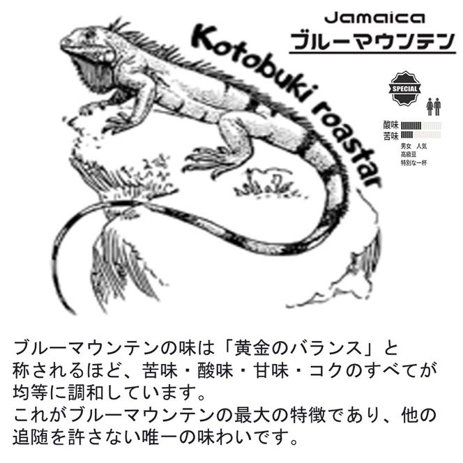 通販限定】真空二重マグコーヒーメーカー Zebrang 保温フタ付き