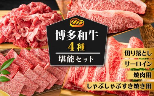 博多和牛 堪能セット [築上町][株式会社MEAT PLUS][ABBP117]