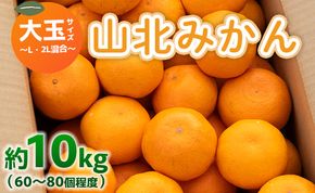 山北みかん 大玉サイズ(L,2Lサイズ) 10kg 約60～80個入り 甘い - 果物 フルーツ 柑橘類 温州みかん ミカン 蜜柑 甘い おいしい 美味しい 山北みらい 高知県 香南市 yk-0029