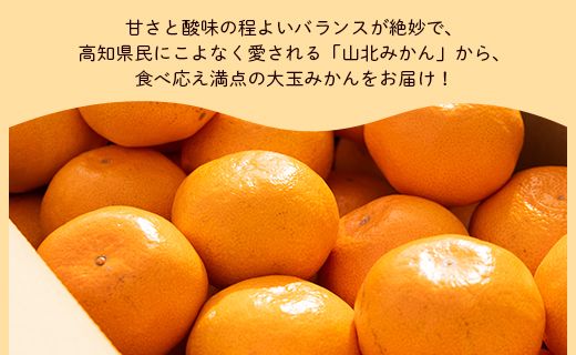 山北みかん 大玉サイズ(L,2Lサイズ) 10kg 約60～80個入り 甘い - 果物 フルーツ 柑橘類 温州みかん ミカン 蜜柑 甘い おいしい 美味しい 山北みらい 高知県 香南市 yk-0029